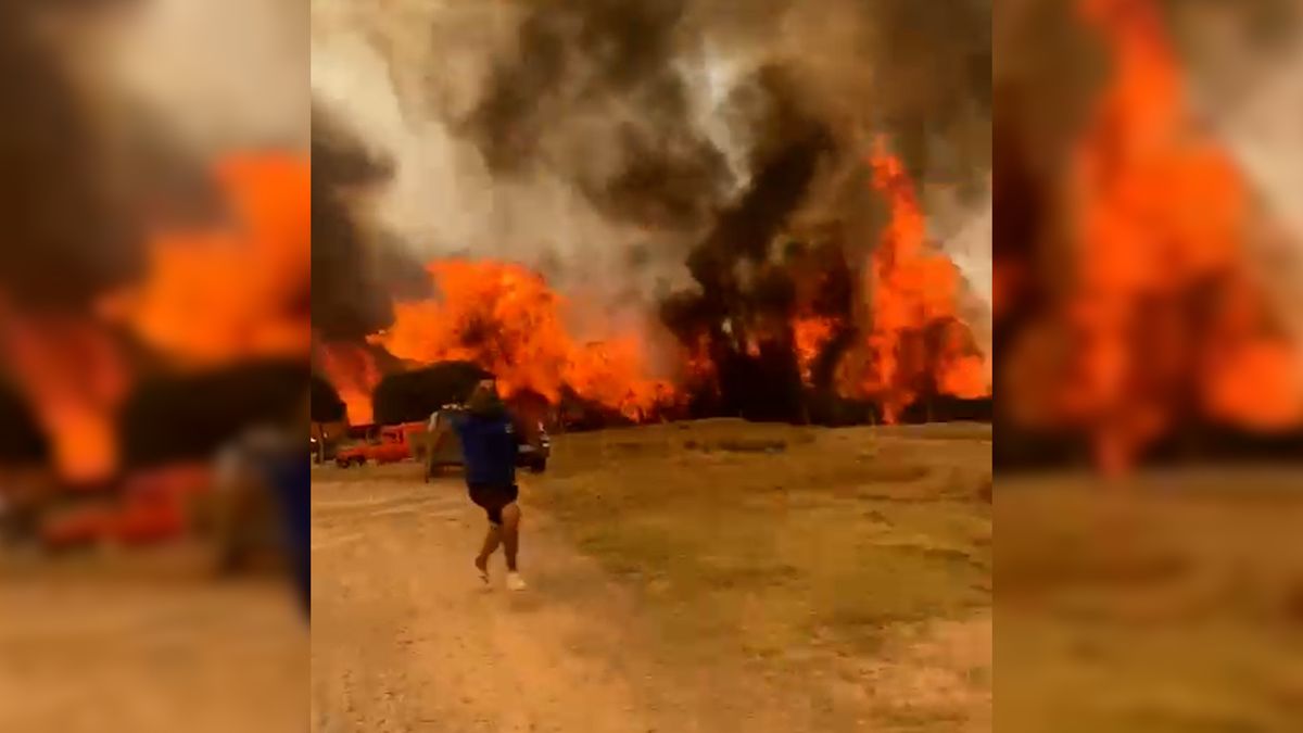 Požár během minuty polkl celou farmu. Reportér Novinek v ohnisku řecké katastrofy
